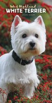 West Highland White Terriers Slim D 2020