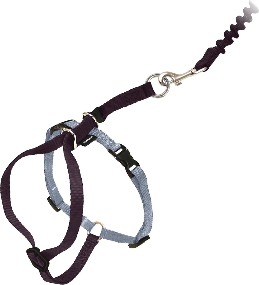 Harnas en bungee riem voor katten - groot zwart/zilver Kattentuigje