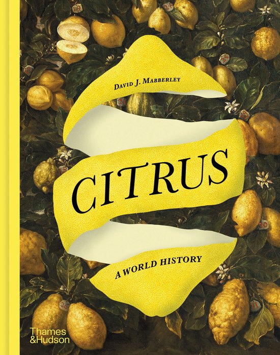 Citrus - cover