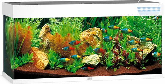 Juwel Rio 240 Led Aquarium - 121x41x50 cm - 240L - Wit