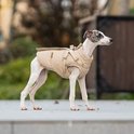 Beige hondenharnasjas op een gestreepte windhond.