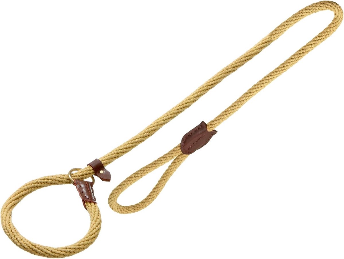 Honden Anti-trek Verstelbare Looplijn - Slipriem - Easy lijn - Jachtriem - Sterk Katoen - Wasbaar - Beige - 165x15 cm