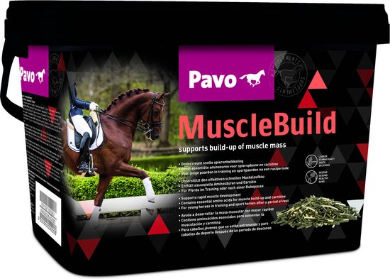 Pavo Musclebuild - Voedingssupplement - 3 kg