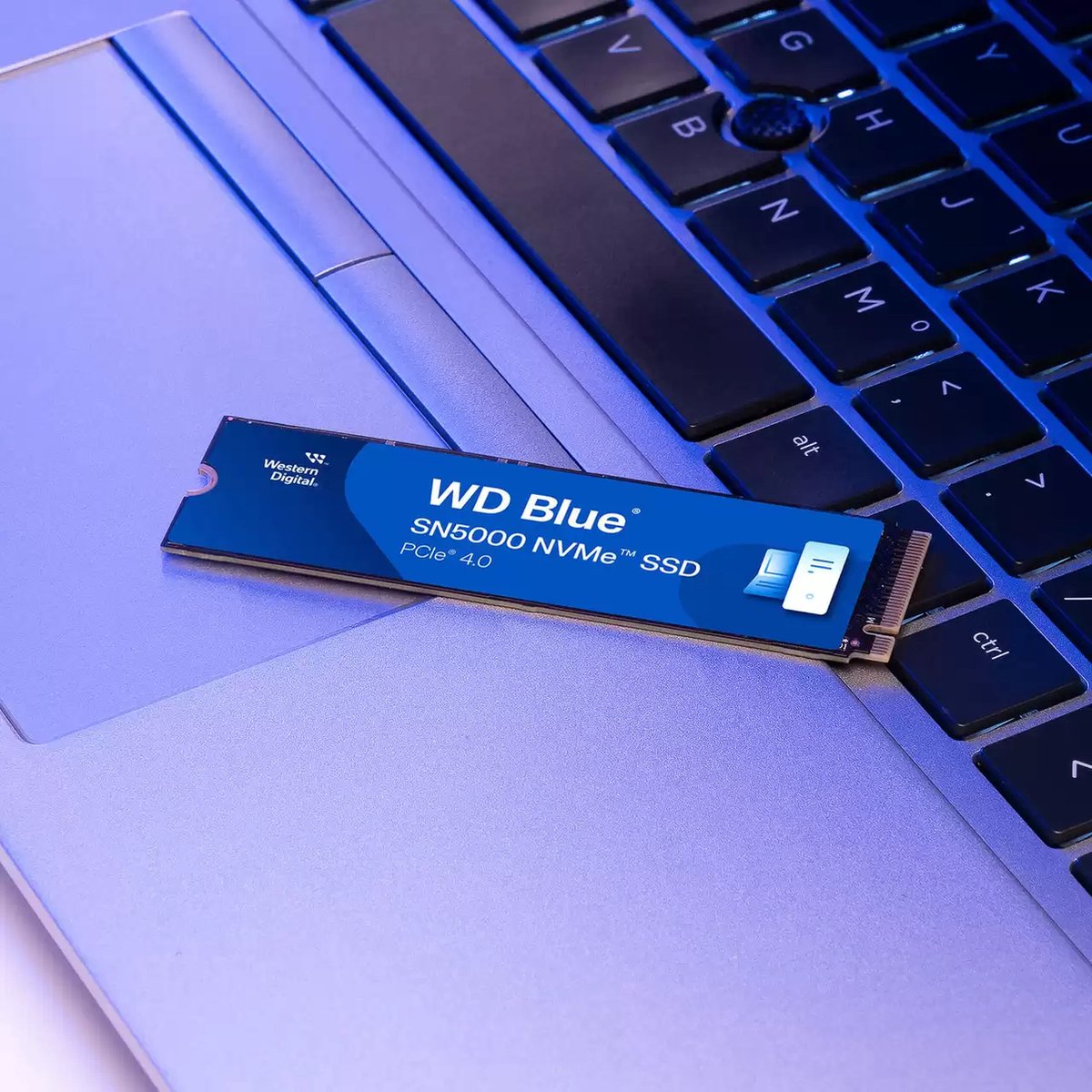 WD Blue SN5000 500GB - SSD M.2 2280 - PCI Express 4.0 x4 - 500 GB - NVMe - 300TB - PS5 compatible - blauw zwart