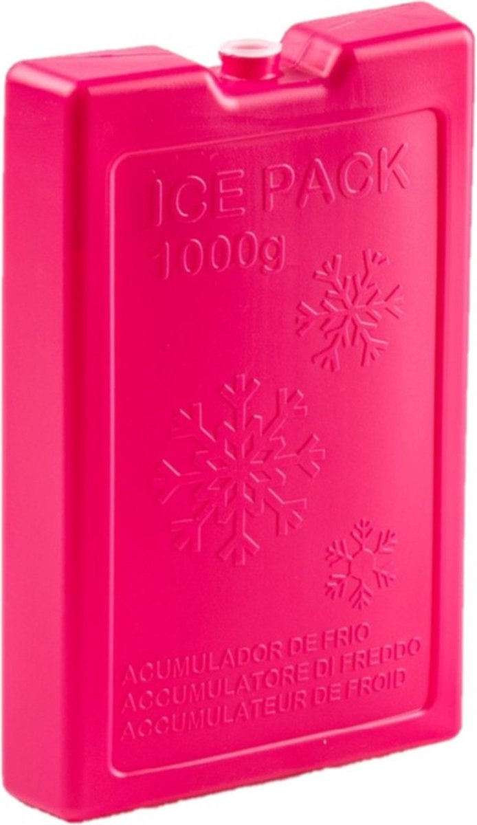 4x stuks 1000 grams koelelementen 22 x 14.5 x 3.5 cm rozeï¿½plastic van Ezetil — afbeelding 2