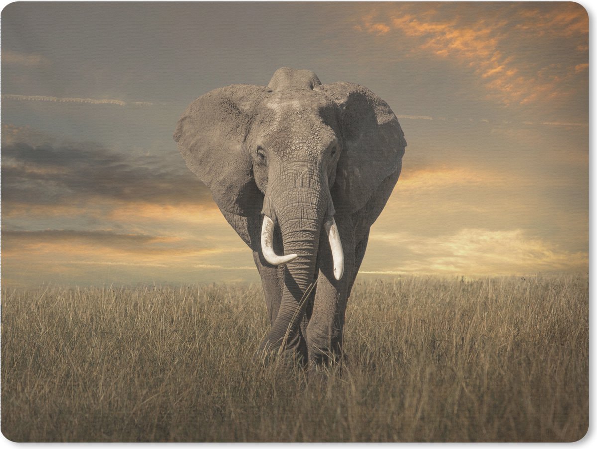 Muismat XXL 80x60 cm - Bureau onderlegger - Bureau mat Olifant - Dieren - Gras - Natuur - Bureaumat - Gaming mousepad xl - Bureaulegger groot - Computer deskmat