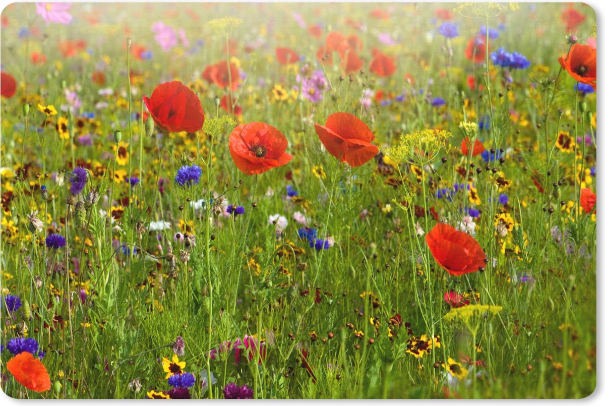 Muismat XXL 120x80 cm - Bureau onderlegger - Bureau mat Lente - Bloemen - Rood - Klaproos - Gras - Groen - Bureaumat - Gaming mousepad xl - Bureaulegger groot - Computer deskmat
