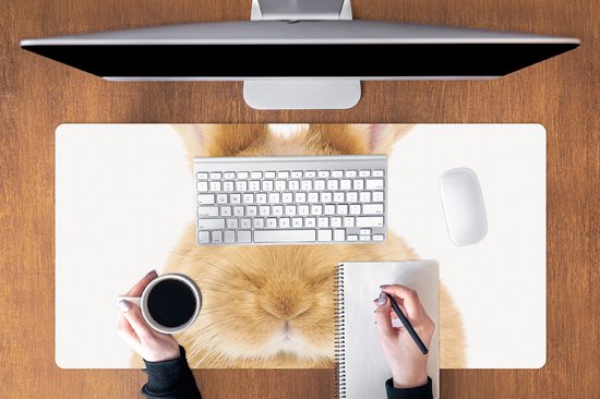 Tapis de souris XXL - Sous-main - Tapis de bureau - Enfants - Lapin - Enfant - Filles - Garçons - 100x50 cm - Tapis de souris XXL