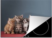 KitchenYeah® Inductie beschermer 71x52 cm - Kittens - Kat - Dieren - Kookplaataccessoires - Afdekplaat voor kookplaat - Inductiebeschermer - Inductiemat - Inductieplaat mat
