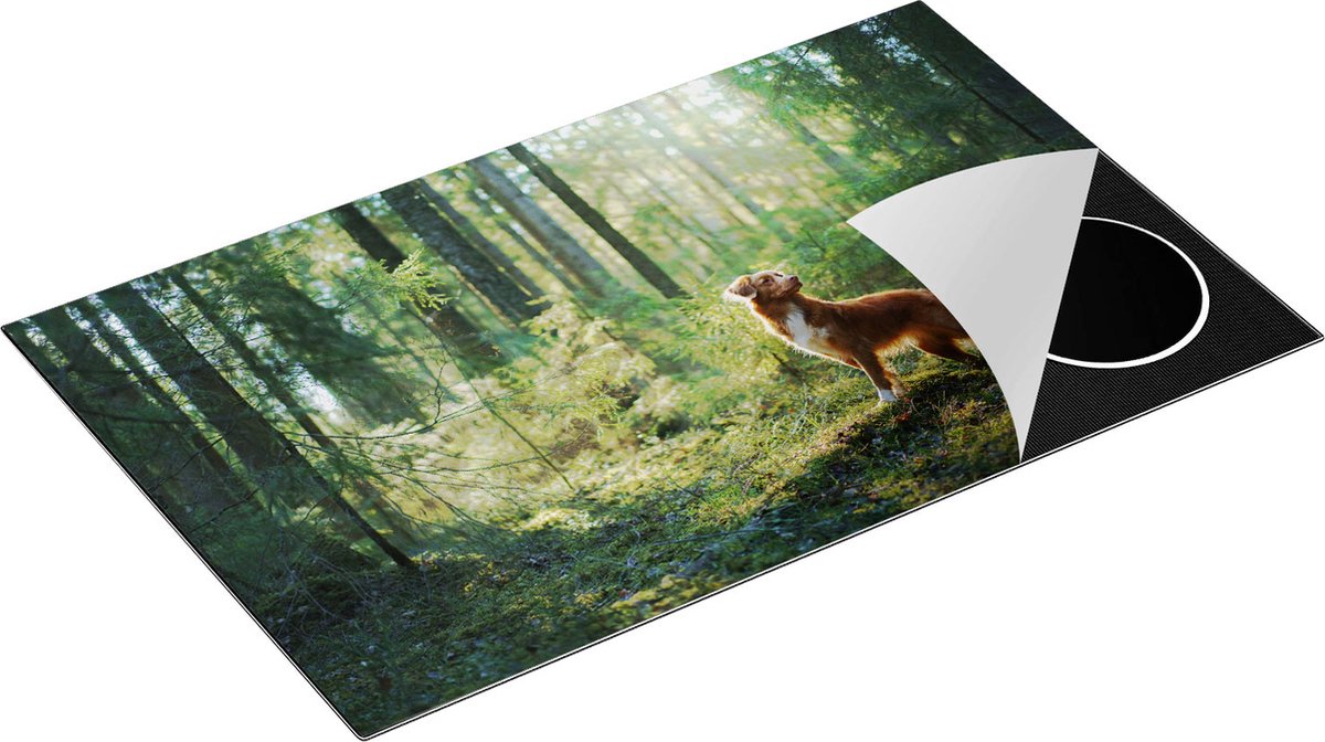 Chefcare Inductie Beschermer Retriever Hond in het Bos met Zon - 85x52 cm - Afdekplaat Inductie - Kookplaat Beschermer - Inductie Mat