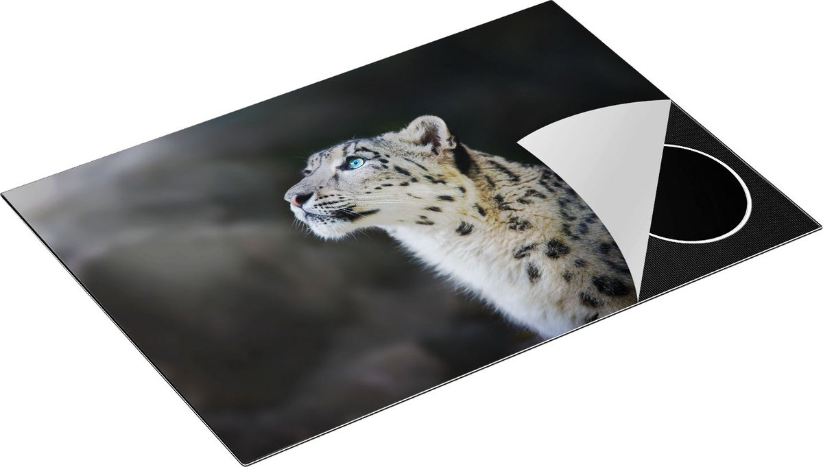 Chefcare Inductie Beschermer Luipaard met Blauwe Ogen - 76x51,5 cm - Afdekplaat Inductie - Kookplaat Beschermer - Inductie Mat