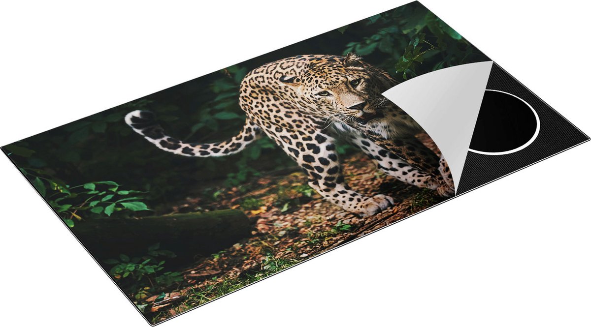 Chefcare Inductie Beschermer Luipaard in het Bos - 90x52 cm - Afdekplaat Inductie - Kookplaat Beschermer - Inductie Mat