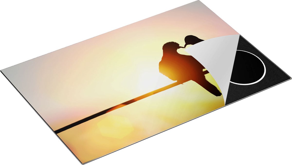 Chefcare Inductie Beschermer Twee Silhouet Vogels in een Hart Vorm - 80x52 cm - Afdekplaat Inductie - Kookplaat Beschermer - Inductie Mat