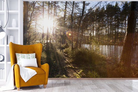 Papier peint photo vinyle - Les rayons du soleil brillent entre les arbres du parc national de Nuuksio en Finlande largeur 360 cm x hauteur 240 cm - Tirage photo sur papier peint (disponible en 7 tailles)