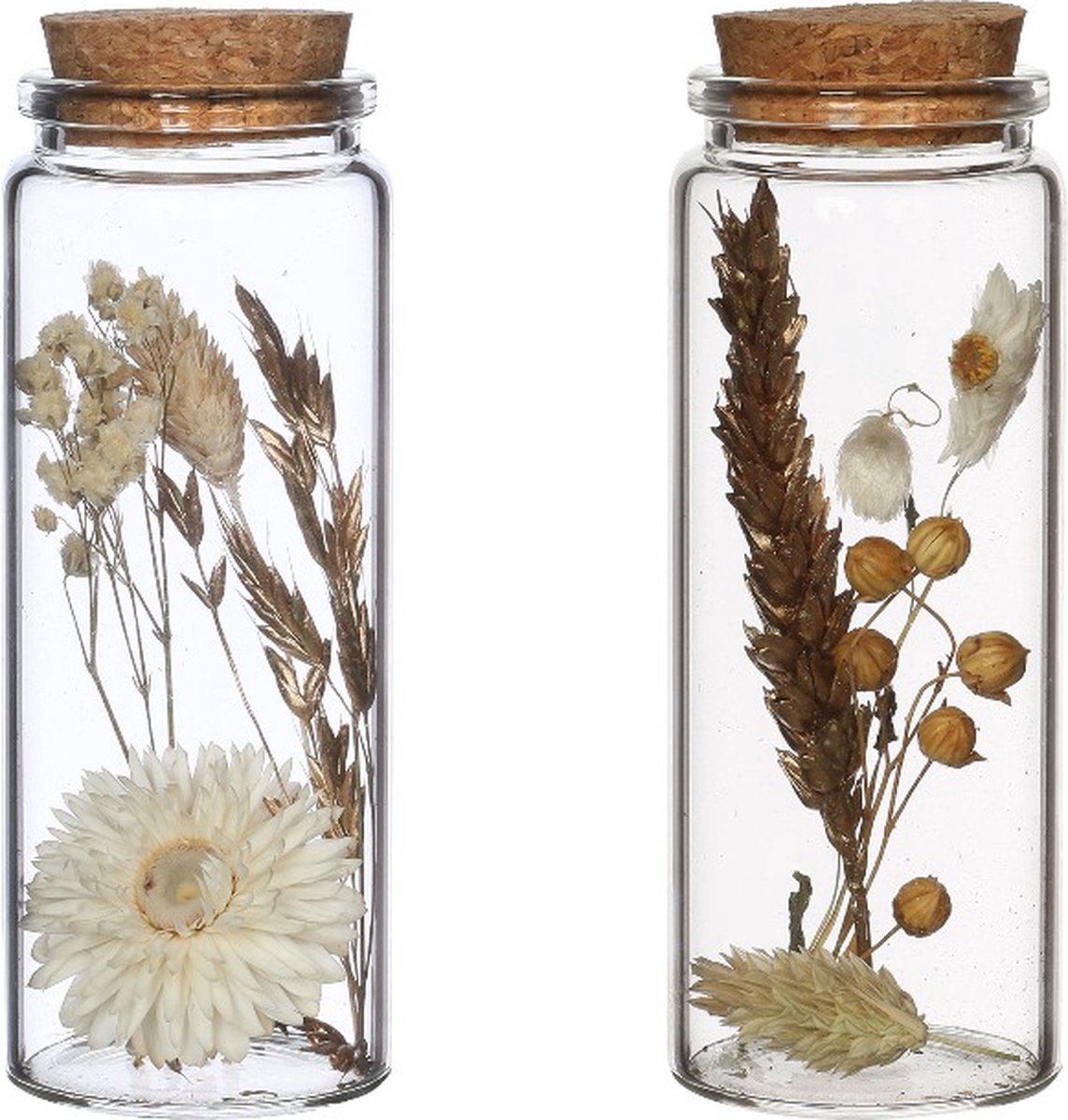 Goedkoopste Glazen buis met diverse droogbloemen naturel Ø4.5cm. H 12.5cm - 12 st