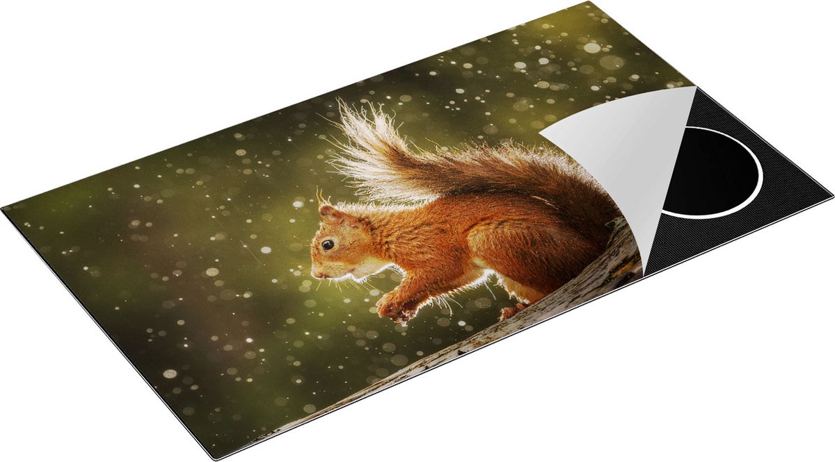 Chefcare Inductie Beschermer Eekhoorn in de Regen - 91,6x52,7 cm - Afdekplaat Inductie - Kookplaat Beschermer - Inductie Mat