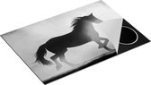 Chefcare Inductie Beschermer Silhouet van een Paard - Zwart Wit - 75x50 cm - Afdekplaat Inductie - Kookplaat Beschermer - Inductie Mat