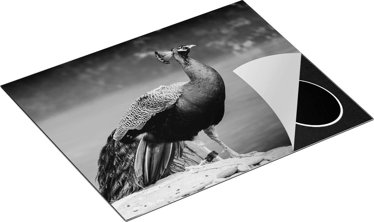 Chefcare Inductie Beschermer Kleurrijke Pauw bij het Water - Zwart Wit - 65x50 cm - Afdekplaat Inductie - Kookplaat Beschermer - Inductie Mat