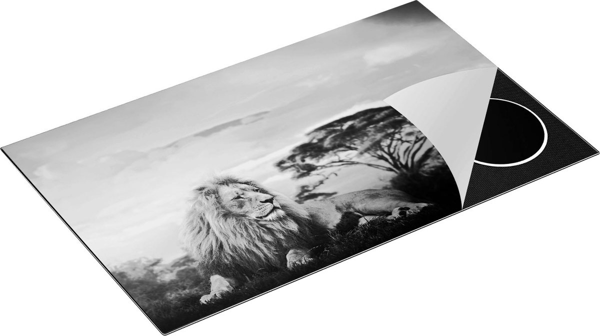 Chefcare Inductie Beschermer Leeuw tijdens Zonsondergang - Zwart Wit - 85x52 cm - Afdekplaat Inductie - Kookplaat Beschermer - Inductie Mat