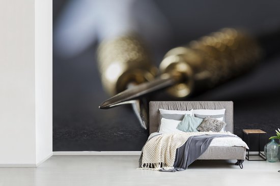 Papier peint photo peint photo vinyle - Fléchettes largeur 450 cm x hauteur 300 cm - Tirage photo sur papier peint (disponible en 7 tailles)