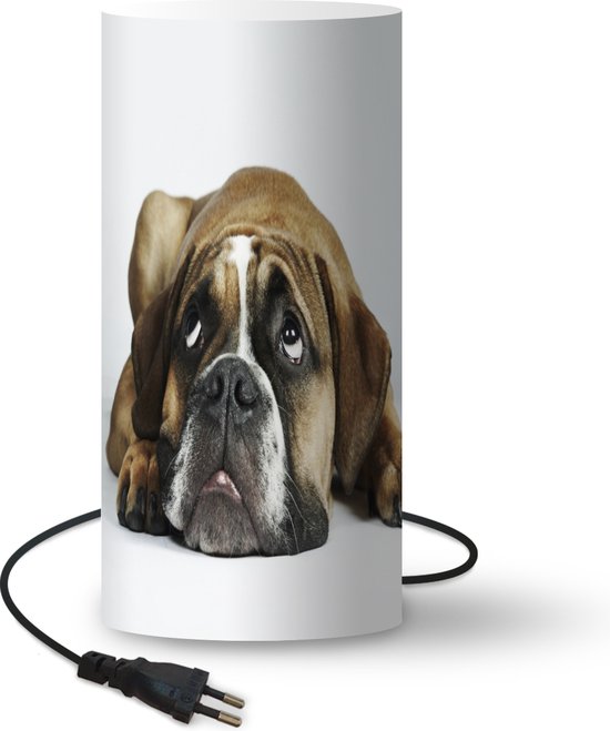 Lampe LED bouledogue français : cadeau photo personnalisé pour chien - France