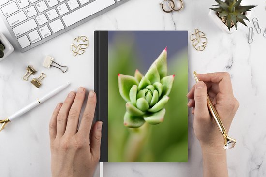 Carnet - Carnet d'écriture - Une succulente botanique verte aux pointes rouges en fleurs - Carnet - Format A5 - Bloc-notes