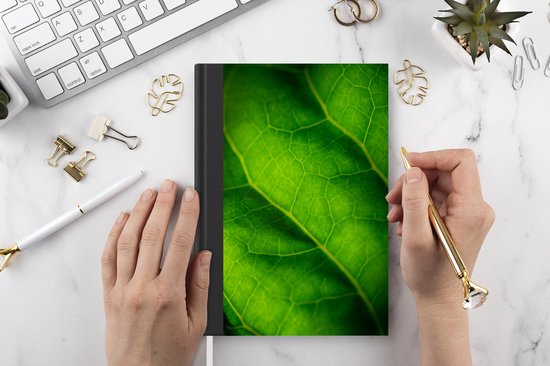 Carnet - Carnet d'écriture - Couleurs vertes d'une feuille botanique - Carnet - Format A5 - Bloc-notes