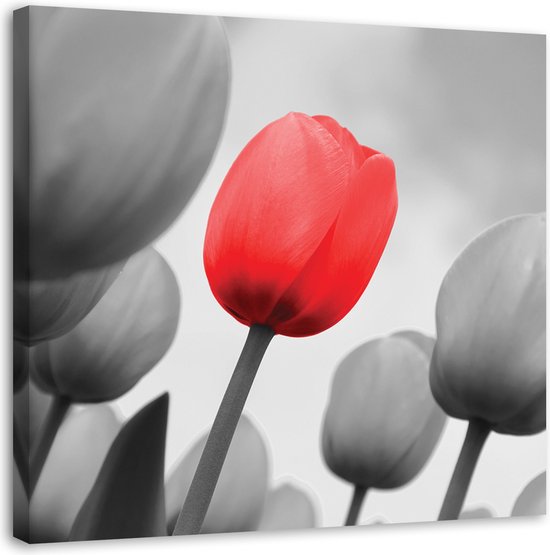 Trend24 - Canvas Schilderij - Rode Tulp In Grijs - Schilderijen - Bloemen - 30x30x2 cm - Rood