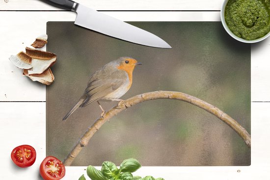 Planche à découper en Verres - 39x28 - Rouge-gorge - Vogel - Nature - Planches à découper en Glas