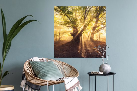 Stickers Stickers muraux - Arbre - Forêt - Soleil - 50x50 cm - Film adhésif