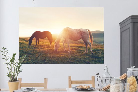 Stickers Stickers muraux - Paarden - Soleil - Animaux - 120x80 cm - Film adhésif