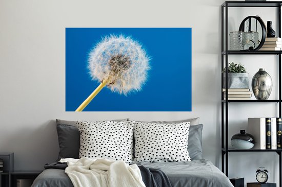 Stickers muraux - Film autocollant - Pissenlit - Bloem - Terrasse - 120x80 cm - Film adhésif - Stickers muraux Chambre d'enfant - Papier peint autocollant