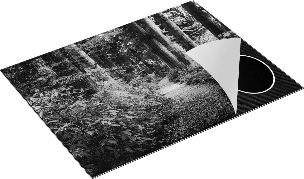 Chefcare Inductie Beschermer Voetpad in het Bos - Zwart Wit - 77x59 cm - Afdekplaat Inductie - Kookplaat Beschermer - Inductie Mat