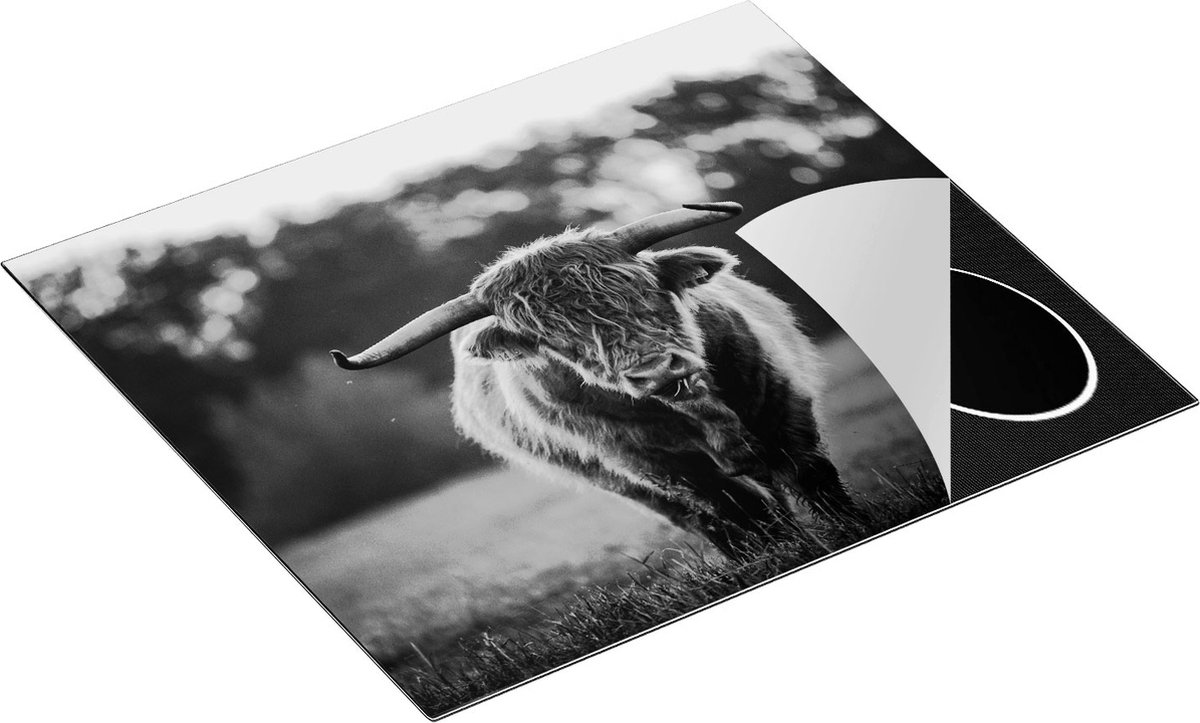 Chefcare Inductie Beschermer Schotse Hooglander in het Veld bij Zonsondergang - Zwart Wit - 57,6x51,6 cm - Afdekplaat Inductie - Kookplaat Beschermer - Inductie Mat