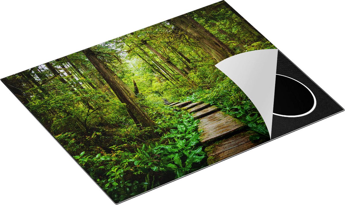 Chefcare Inductie Beschermer Voetpad in het Bos met Groene Planten - 65x52 cm - Afdekplaat Inductie - Kookplaat Beschermer - Inductie Mat