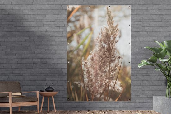Affiche jardin - Pampa - Herbe de la pampa plante de jardin - Plante - Nature - Rose - 120x180 cm - Affiche clôture - Jardin - Décoration murale - Décoration Décoration de jardin - Toile jardin - Affiche extérieur