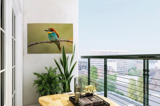 Affiche de Jardin Vogel - Guêpier - Animaux - 60x40 - Toile jardin - Affiche extérieure