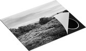 Chefcare Inductie Beschermer Paarse Weide - Zwart Wit - 65x50 cm - Afdekplaat Inductie - Kookplaat Beschermer - Inductie Mat