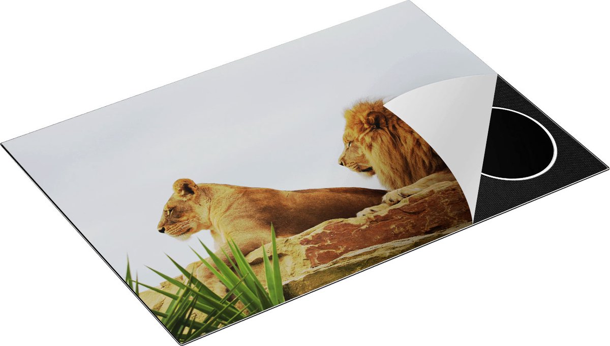 Chefcare Inductie Beschermer Leeuw en Leeuwin op een Rots - 75x52 cm - Afdekplaat Inductie - Kookplaat Beschermer - Inductie Mat