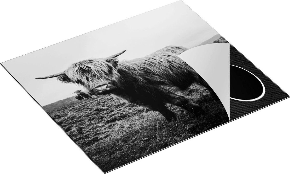 Chefcare Inductie Beschermer Schotse Hooglanders in het Veld - Zwart Wit - 57,6x51,6 cm - Afdekplaat Inductie - Kookplaat Beschermer - Inductie Mat