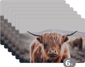Placemats - Schotse hooglander - Dieren - Hoorn - Rund - Onderleggers placemats - Placemat - 6 stuks - 45x30 cm