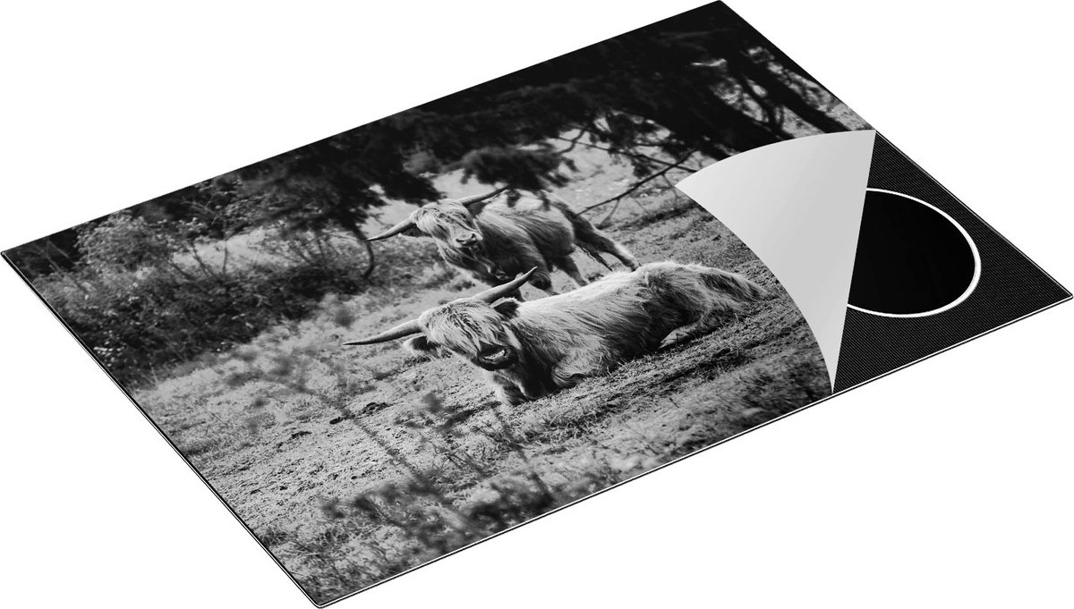 Chefcare Inductie Beschermer Twee Schotse Hooglanders in de Bossen - Zwart Wit - 75x52 cm - Afdekplaat Inductie - Kookplaat Beschermer - Inductie Mat