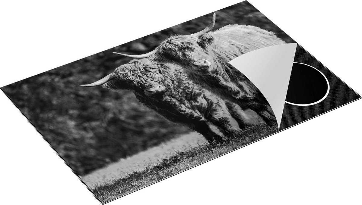 Chefcare Inductie Beschermer Twee Schotse Hooglanders in de Groene Weide - Zwart Wit - 80,2x52,2 cm - Afdekplaat Inductie - Kookplaat Beschermer - Inductie Mat