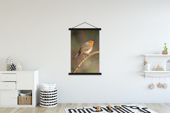 Porte-affiche avec affiche - Affiche scolaire - Robin - Vogel - Nature - 120x180 cm - Lattes noires