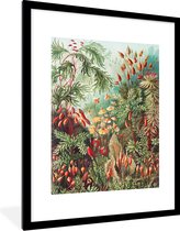 Cadre photo avec affiche - Fleurs - Art - Vintage - Nature - Botanique - 60x80 cm - Cadre pour affiche