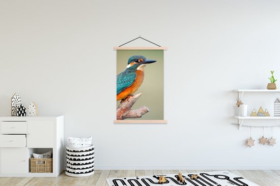 Porte-affiche avec affiche - Affiche scolaire - Vogel - Martin-pêcheur - Branche - 120x180 cm - Lattes vierges