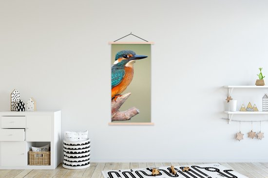 Porte-affiche avec affiche - Affiche scolaire - Vogel - Martin-pêcheur - Branche - 90x180 cm - lattes vierges