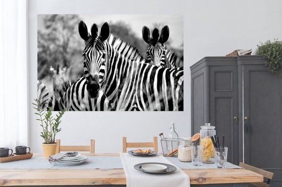 Affiche Zebra - Zwart - Wit - Animaux - 180x120 cm XXL