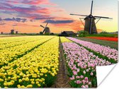 Poster Tulpen - Windmolen - Natuur - 80x60 cm
