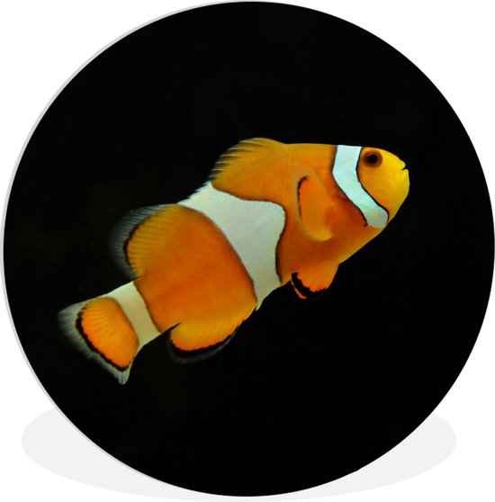 Wall Circle - Wall Circle Indoor - Poisson - Ligne - Zwart - ⌀ 60 cm - Décoration murale - Peintures Ronds